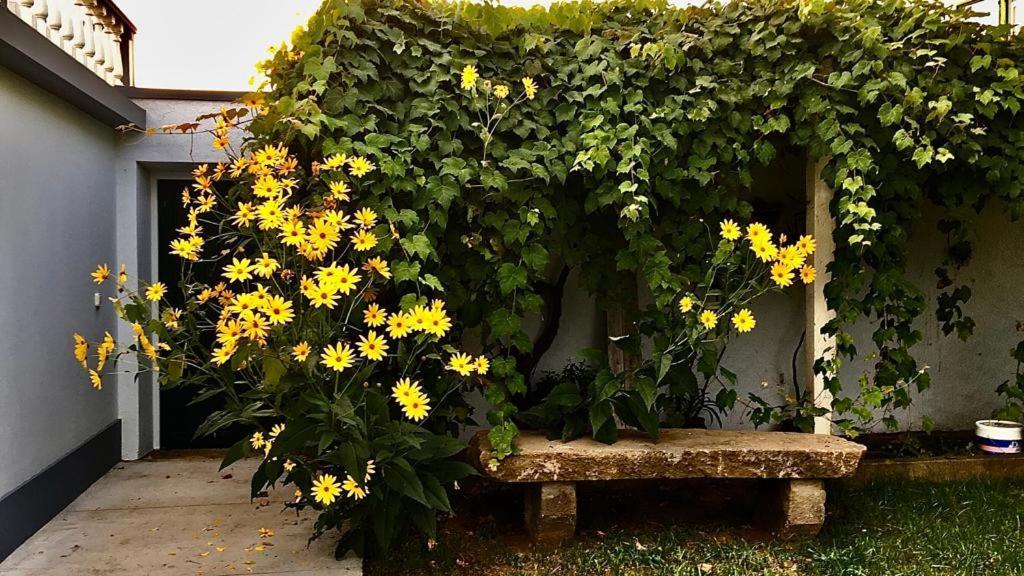 Casa As Nove Villa Angra do Heroísmo Екстериор снимка